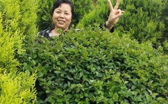 51DADOU仙踪林网站入口欢迎您